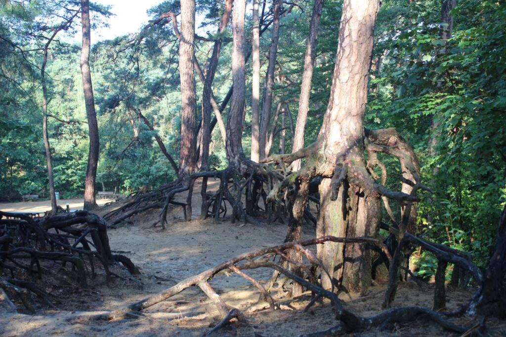 Paesaggio naturale nelle vicinanze della casa vacanze