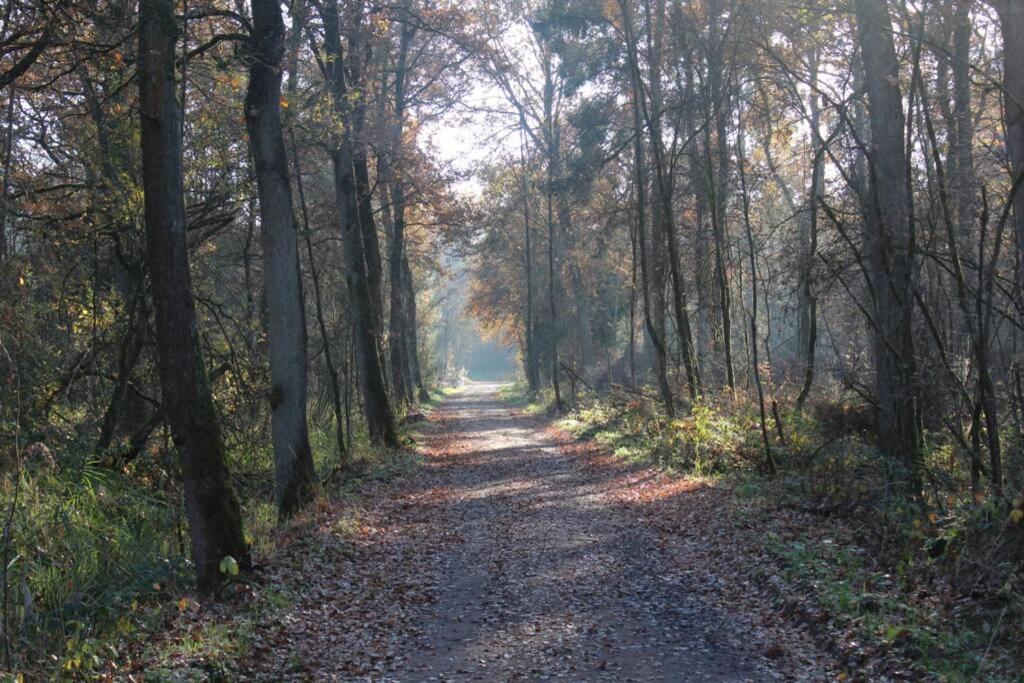 Paesaggio naturale nelle vicinanze della casa vacanze
