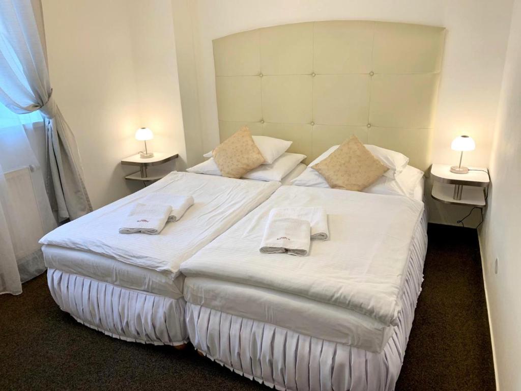 Postel nebo postele na pokoji v ubytování Hotel RICHTR