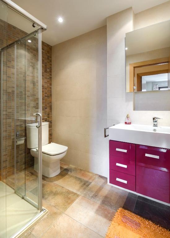 Koupelna v ubytování Peña Sabocos, apartamento turístico Panticosa