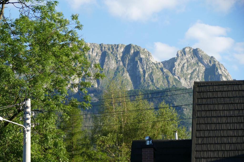 Willa Pod Słońcem - 8