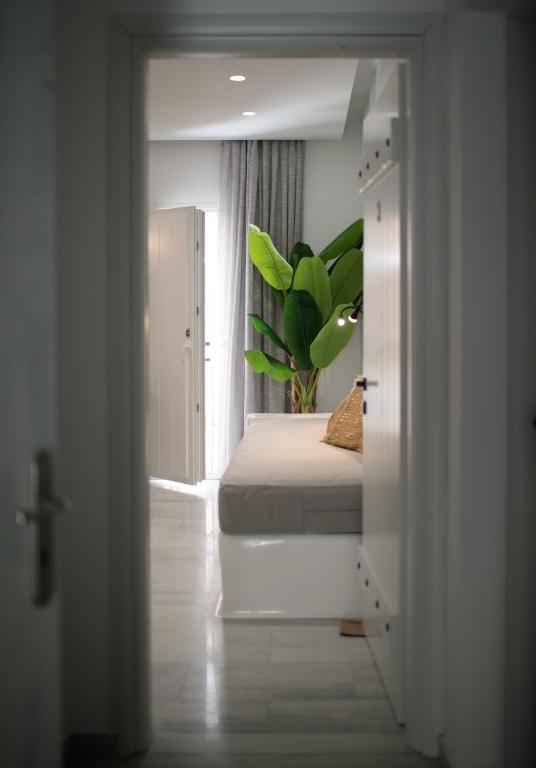 TERRA FOS NAXOS STUDIOS - 18