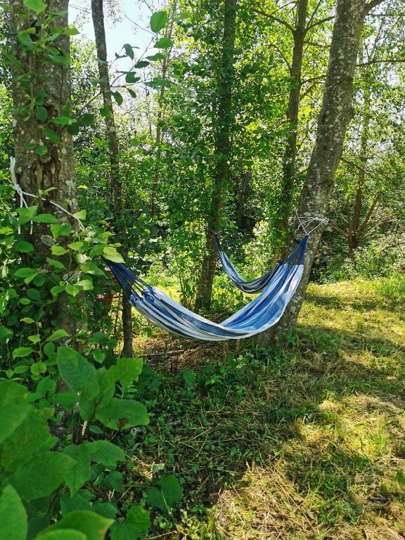 Vonkajšia záhrada v ubytovaní Ośrodek VolfCamp Kwaszenina