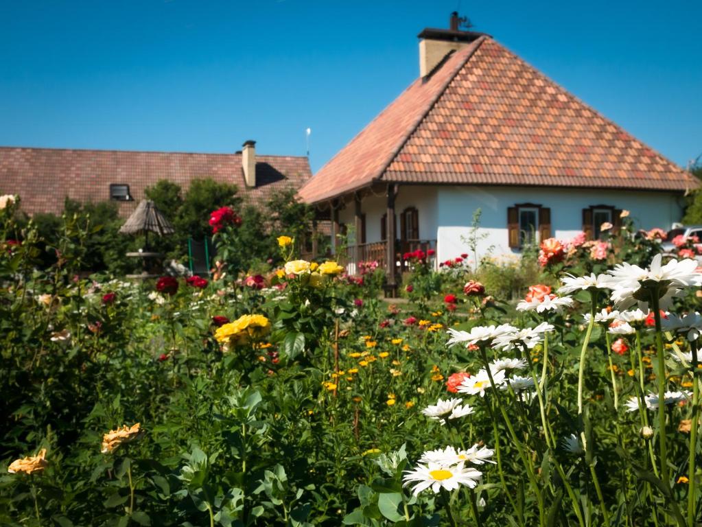 a garden of flowers in front of a house at Vesela Sadyba in Veselivka