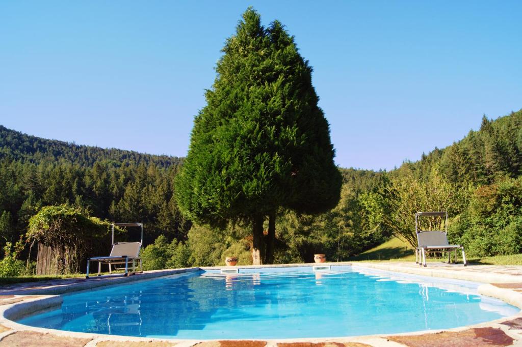 a swimming pool with two chairs and a tree at LANDSITZ OBERHOF petit hôtel in Muggendorf
