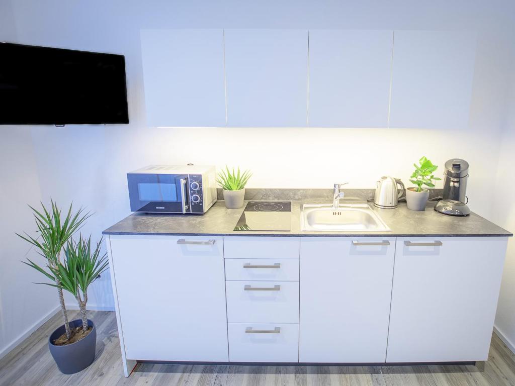 Freiburger-Ferienwohnung - Apartment With Balcony