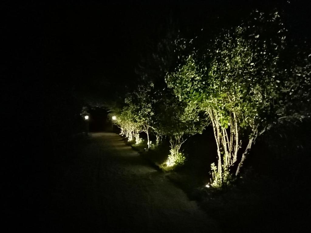 Vonkajšia záhrada v ubytovaní LANDSITZ OBERHOF petit hôtel