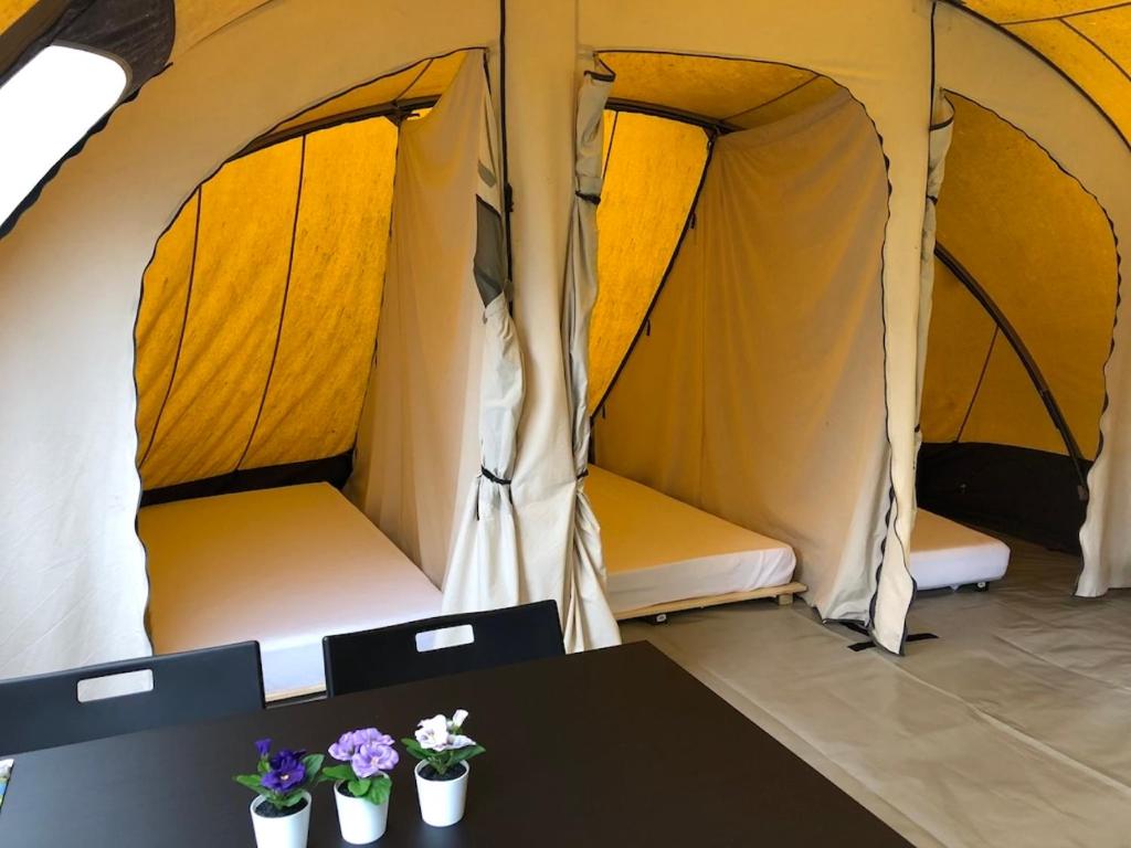Communisme stroomkring Thermisch Campground Ingerichte De Waard tent - 4 personen, Beilen, Netherlands -  Booking.com
