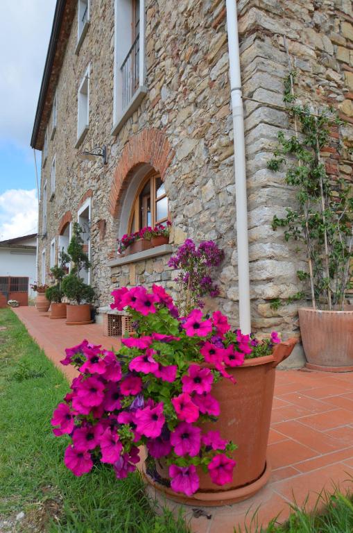 garnek różowych kwiatów przed budynkiem w obiekcie La Casa Nell'Aia w mieście Monsummano Terme
