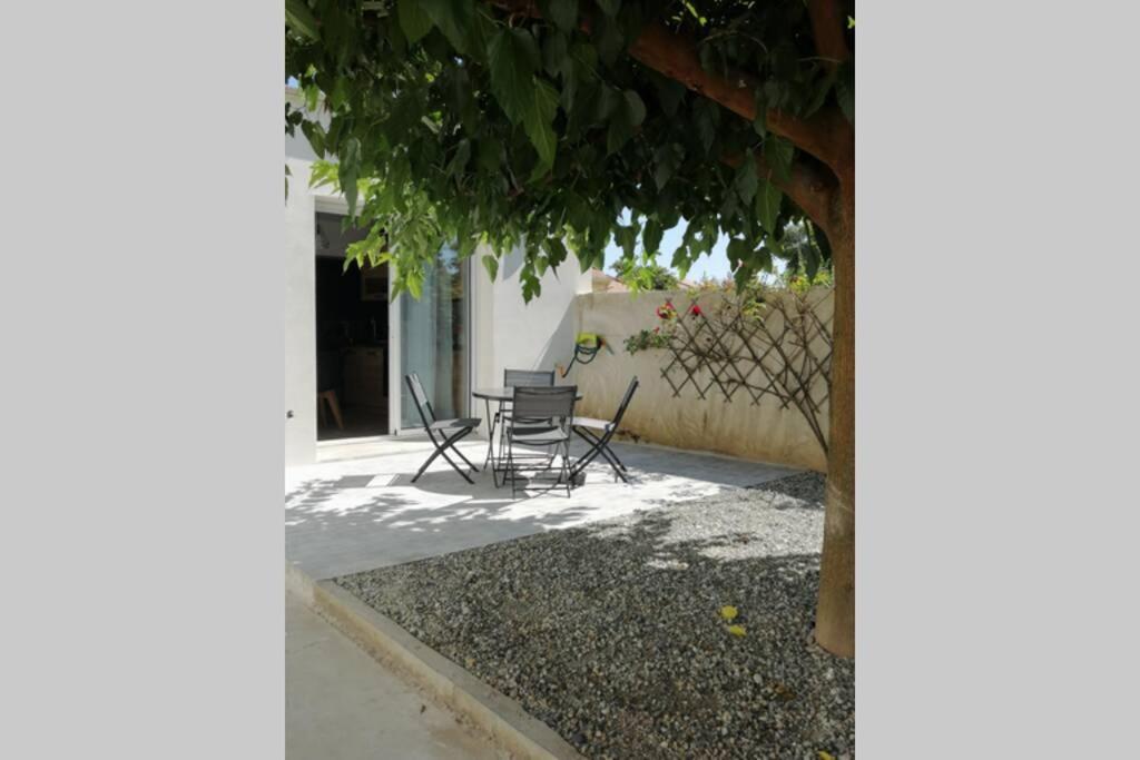 un patio con mesa y sillas bajo un árbol en CHARMANT APPARTEMENT AVEC TERRASSE, en Pont-de-lʼIsère