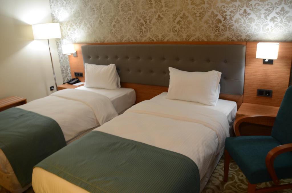 Çınarpark Hotel - Jumeau