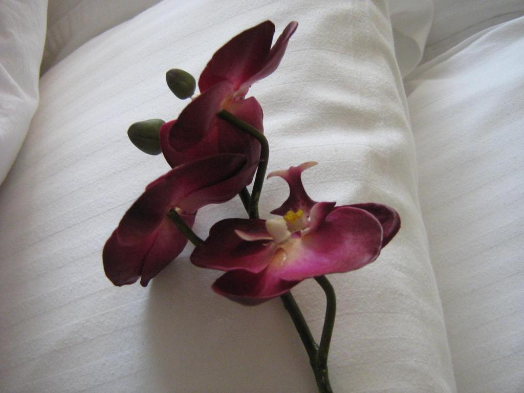 Yonge Suites Apart Hotel - Resim 27