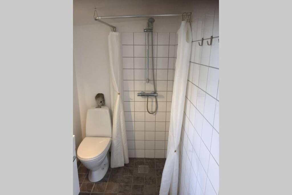 a bathroom with a toilet and a shower at Charmerende byhus i Præstø centrum in Præstø