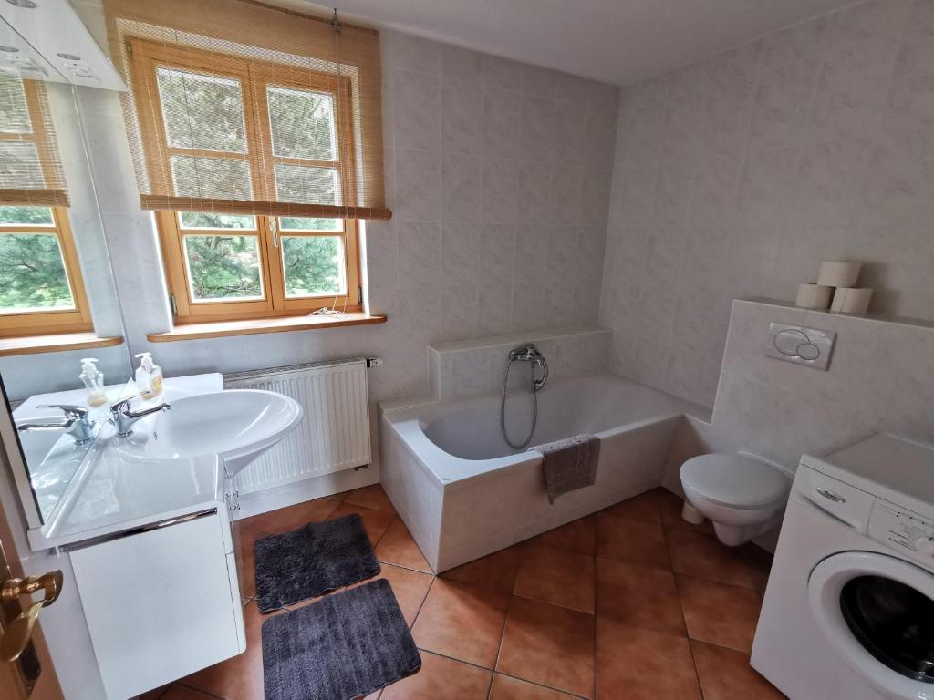 a bathroom with a tub and a sink and a toilet at Ferienwohnung "Am Saalehaken" in Gössitz