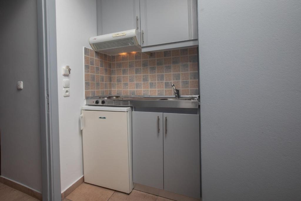 Kuchyň nebo kuchyňský kout v ubytování Pelagos Apartments