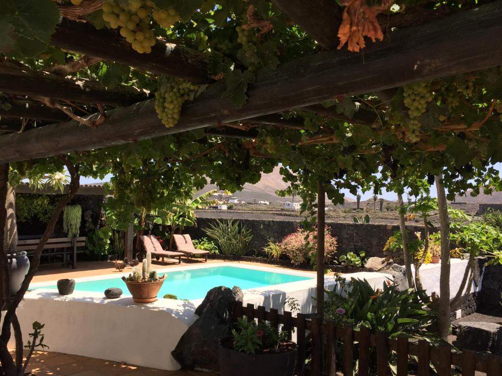 a swimming pool in a yard with a pergola at Los dragos in Masdache