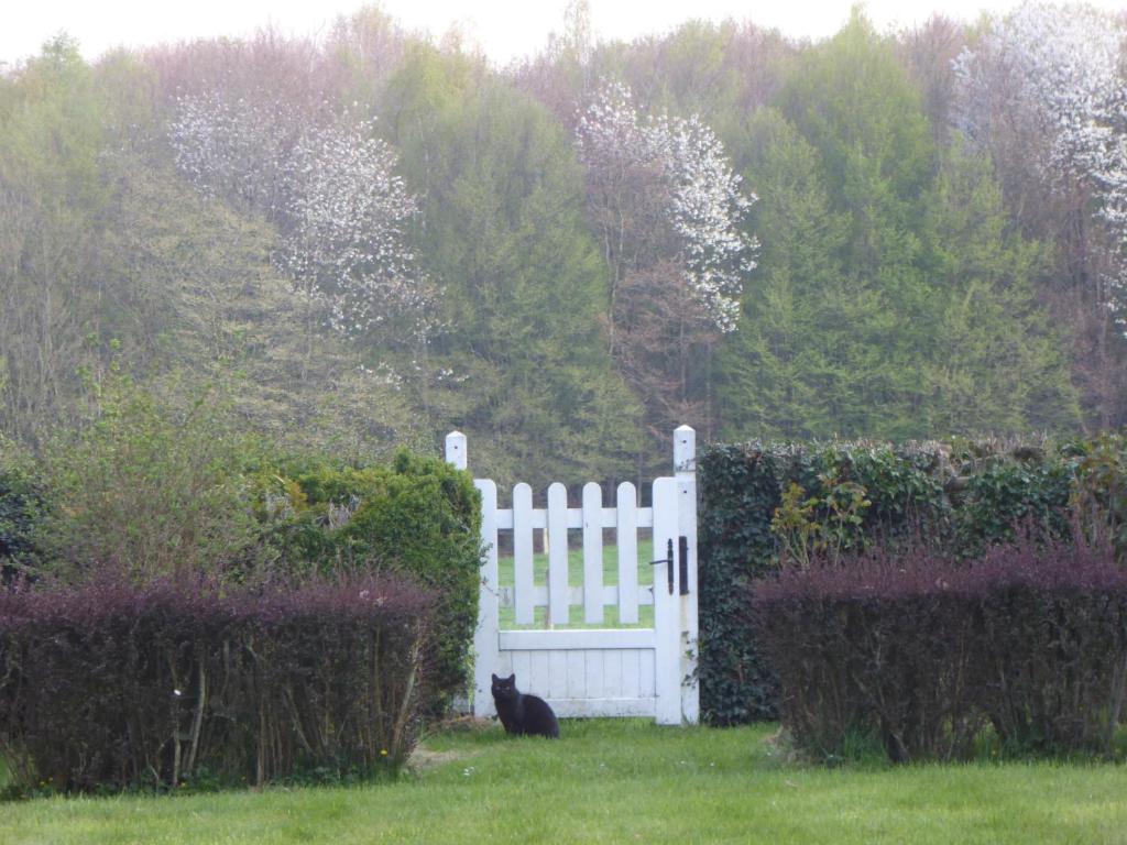 Gallery image of Orfea s home - maison de charme, Lyons-la-Forêt, accès direct forêt in Le Tronquay