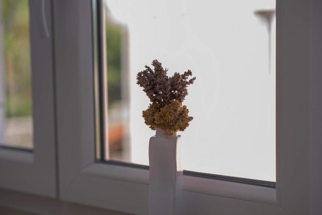 a white vase with a plant in a window at Apartman Zoe Vrbnik in Vrbnik