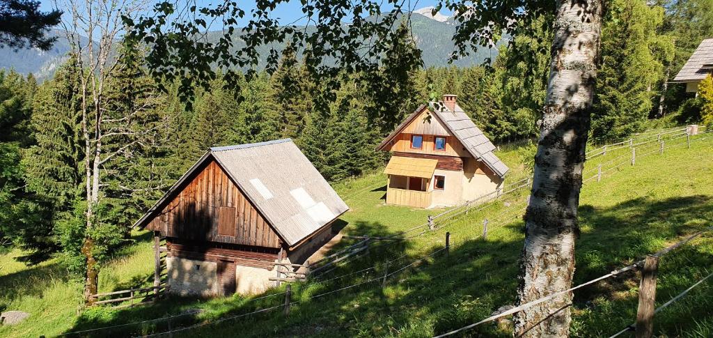 Příroda nedaleko prázdninového domu