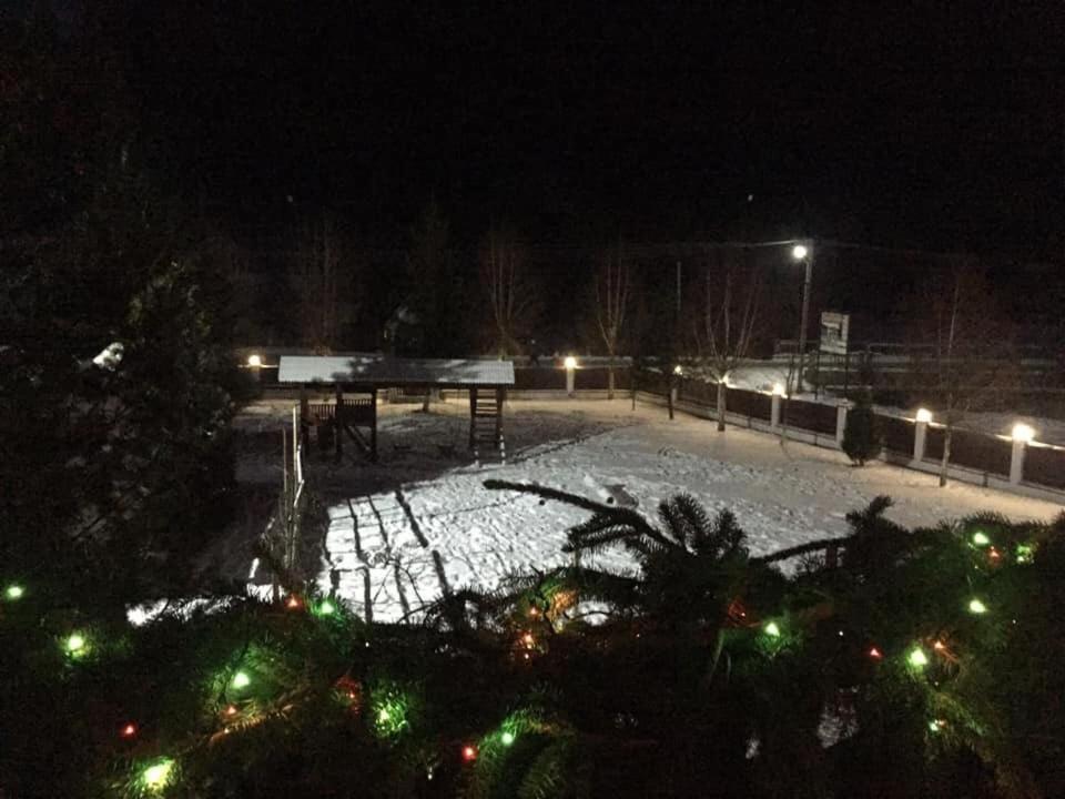 Beregynia v zimě