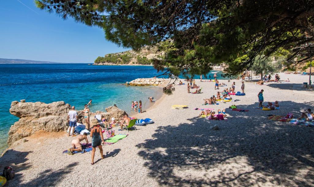 Príroda v okolí apartmánu