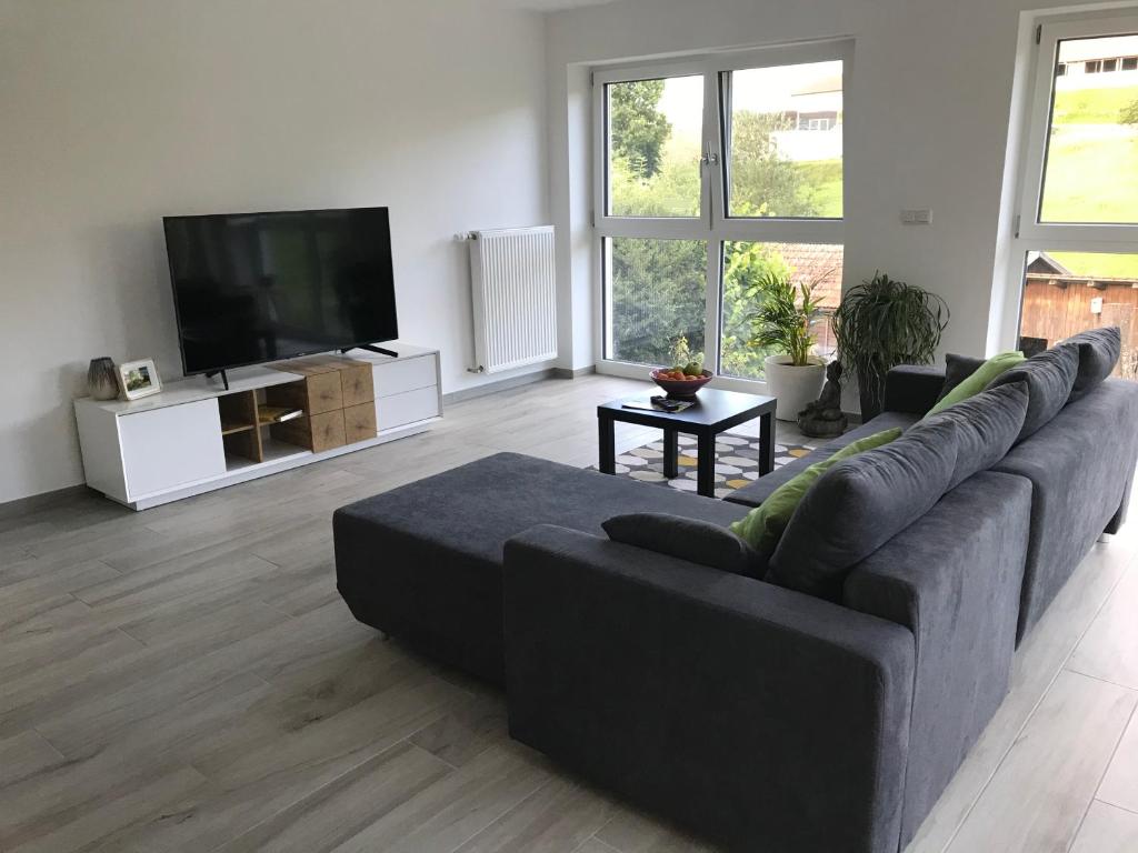 a living room with a couch and a flat screen tv at Ferienwohnung „Frosch“ in Neukirchen-Balbini
