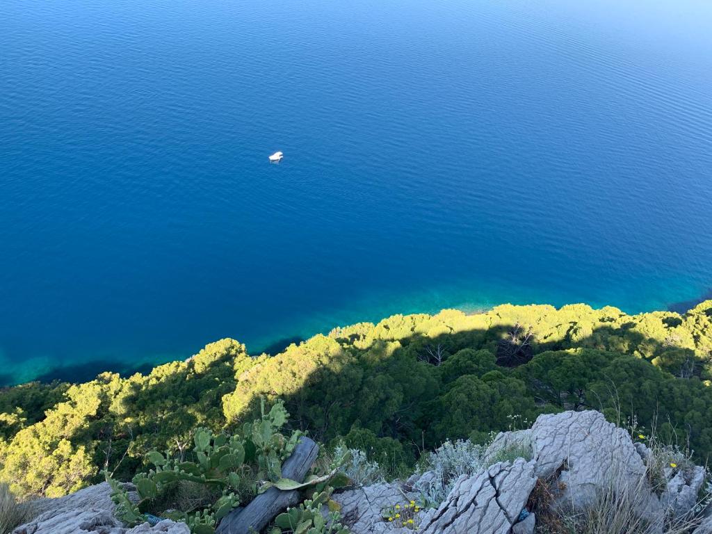 Apartment Summer - Housity