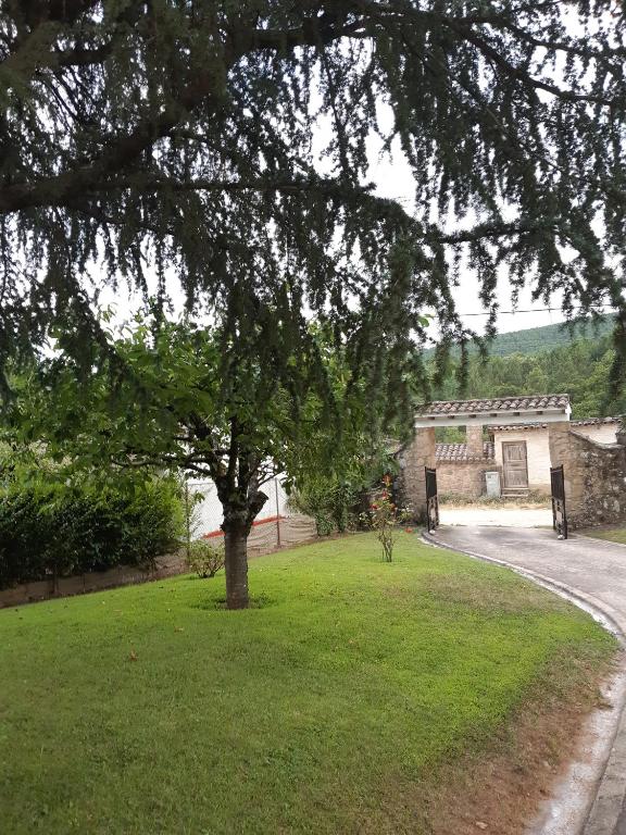 Fotografie z fotogalerie ubytování Marabá v destinaci Arenas de San Pedro