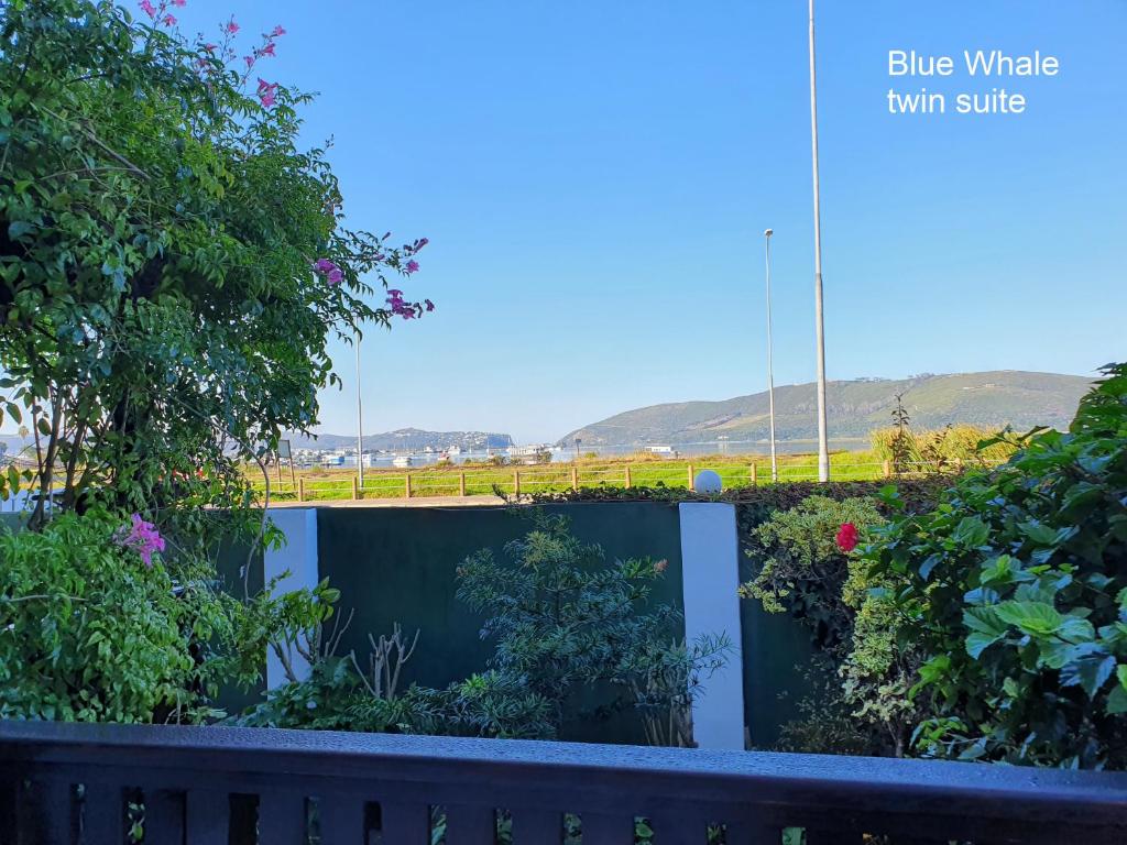Lakeside Accommodation - Image 9