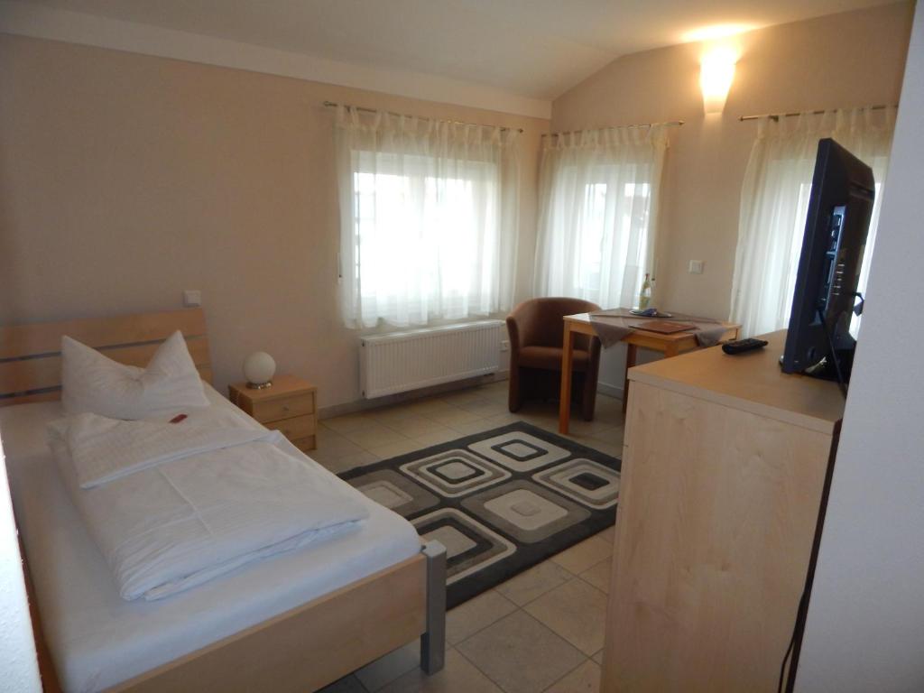 TV a/nebo společenská místnost v ubytování Hotel Alex