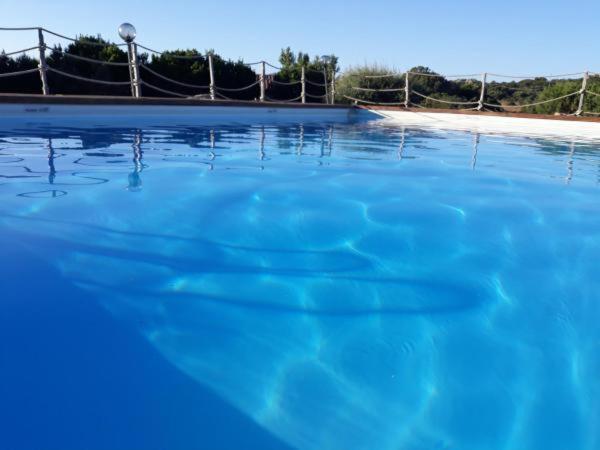 a large pool of blue water with a volley ball court at La Macciona in Aglientu