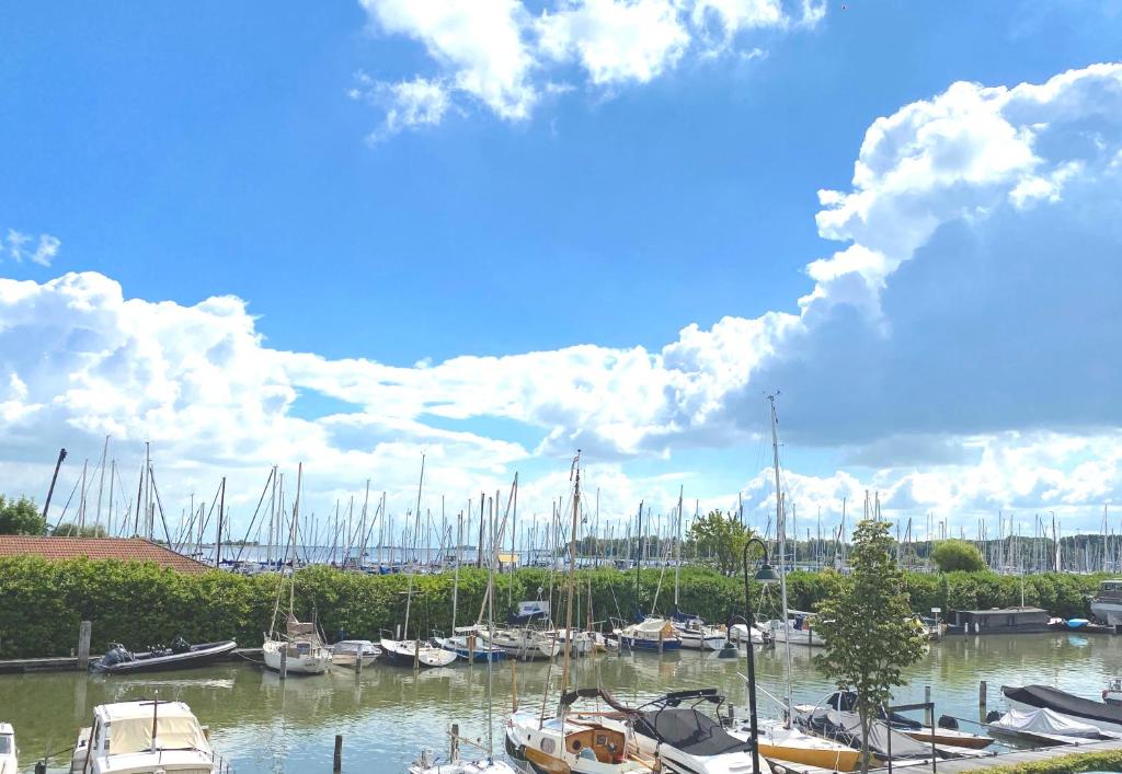 a bunch of boats docked in a marina at Who's Anton for you or two, Monnickendam near Amsterdam in Monnickendam
