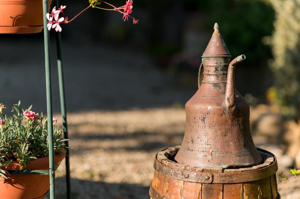 Ogród w obiekcie Il Leccio - casa toscana il fienile