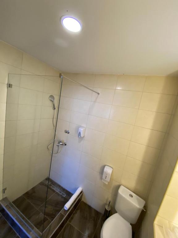 a bathroom with a toilet and a glass shower at Skadarlija Suites in Belgrade