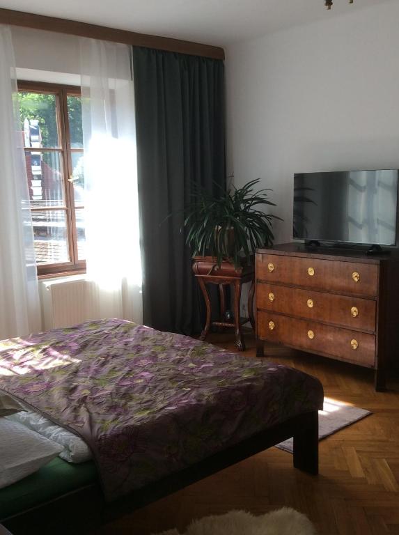 TV a/nebo společenská místnost v ubytování Apartments Dlouhá 93