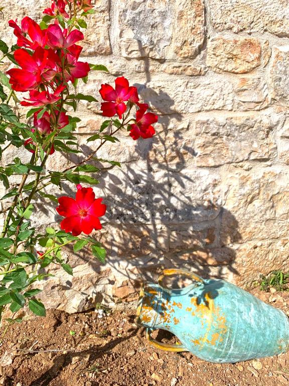 a plant with red flowers next to a stone wall at Trullo Aprìco in Alberobello