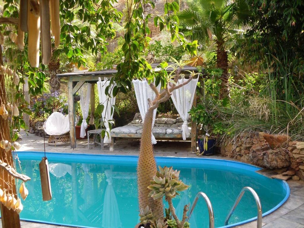 Condo Hotel jardin botanico Montecristo, Los Palmitos, Spain ...