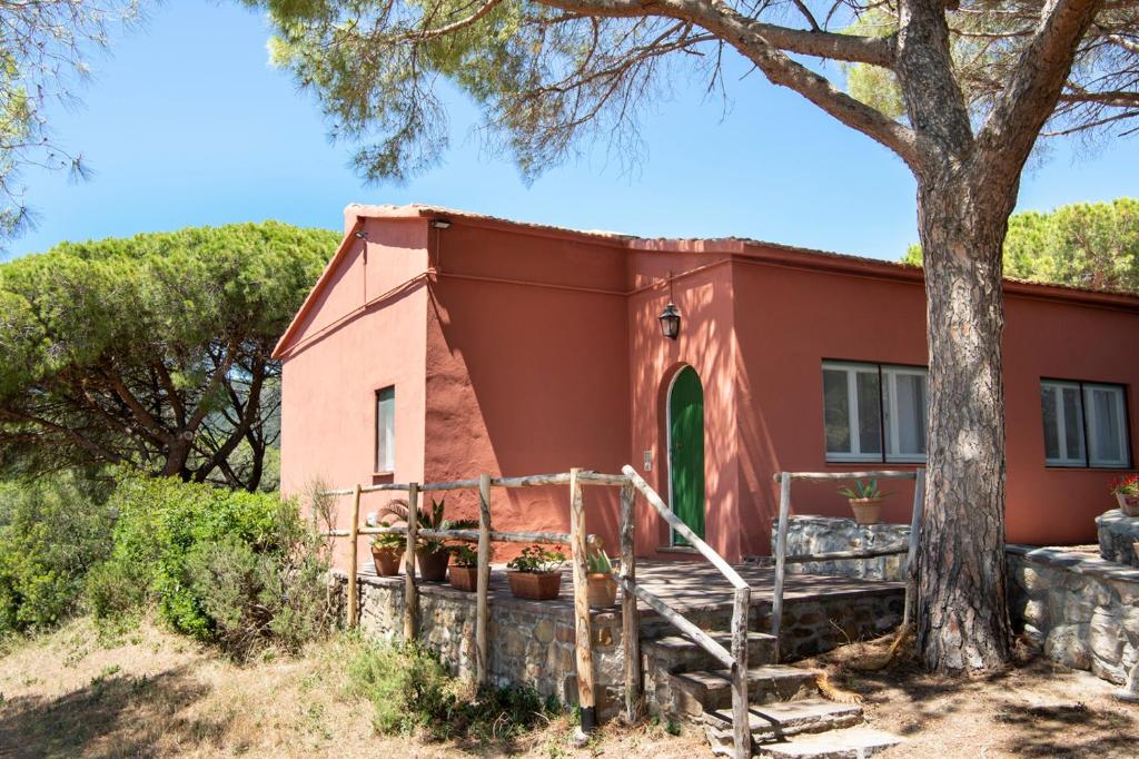 ロッケッテにあるTenuta Le Rocchetteの木の前の小さな赤い家