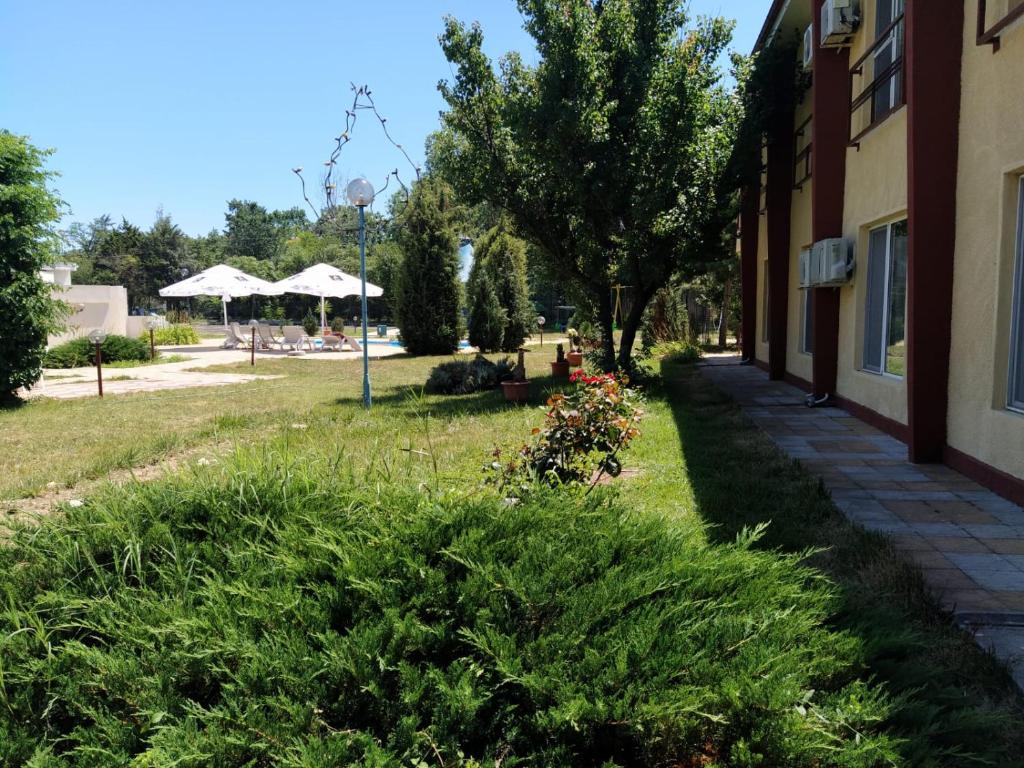 a sidewalk next to a building with plants next to it at Elixirum in Jupiter