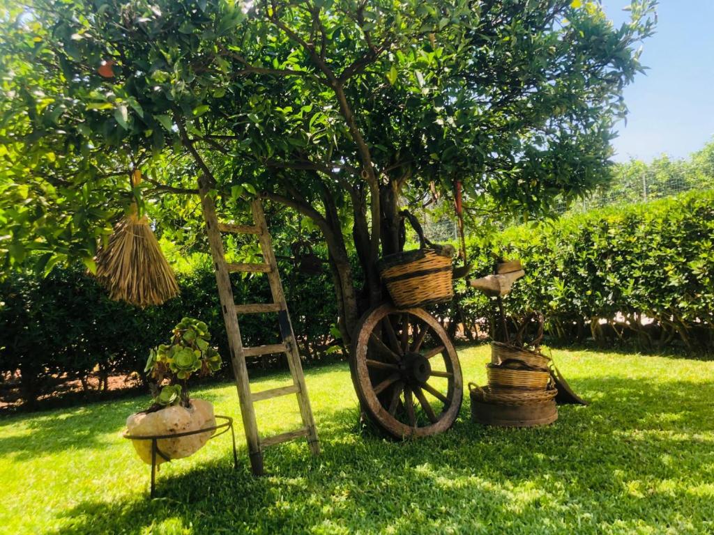 A garden outside Sicilian Garden