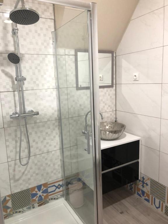 a bathroom with a shower and a sink at gite 4 Pers coeur de village in Jujurieux