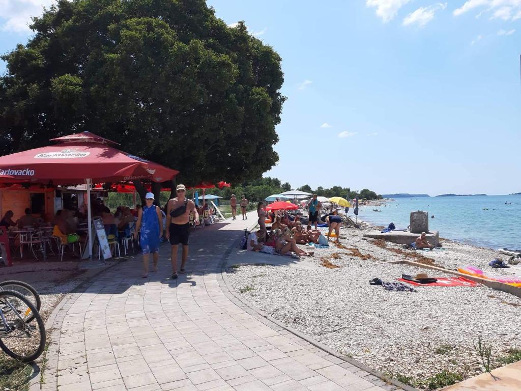 Príroda v okolí apartmánu