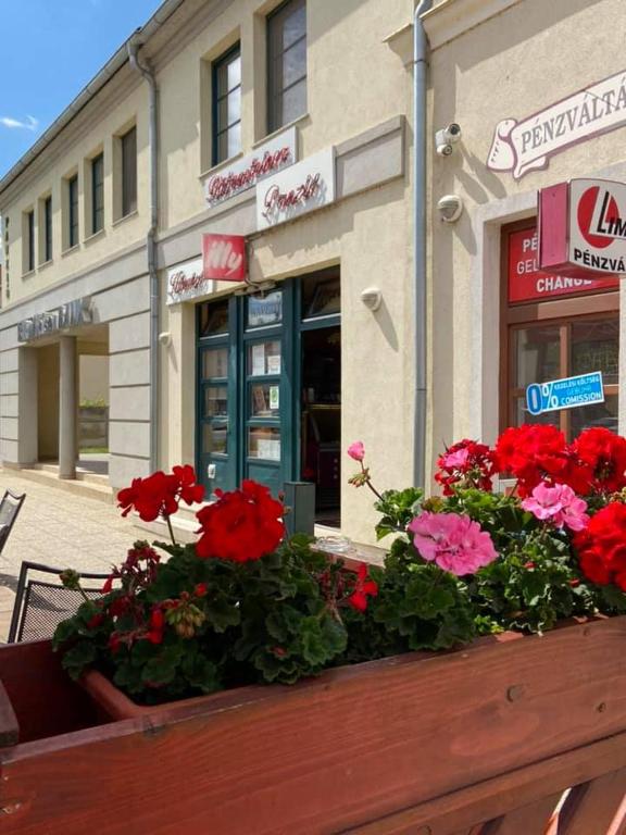 Fotografie z fotogalerie ubytování Rábensteiner Panzió v destinaci Fertöd