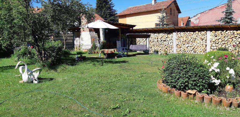 Κήπος έξω από το Family Hotel Ecorelax