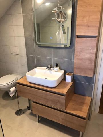 Koupelna v ubytování Apartma na hüti