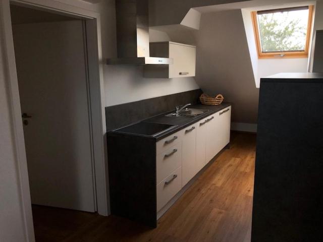 Kuchyň nebo kuchyňský kout v ubytování Apartma na hüti