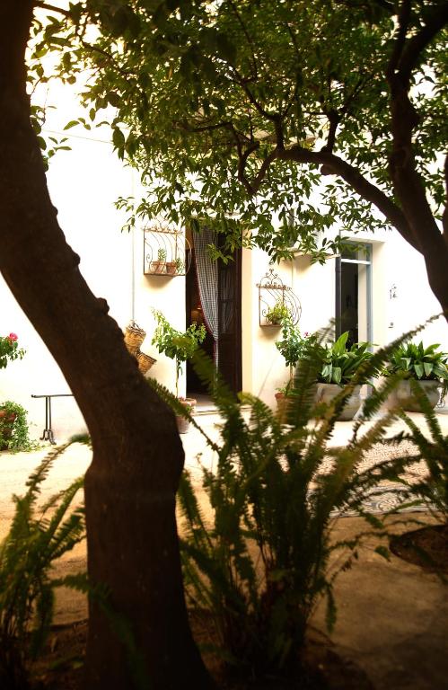 a white house with a tree in front of it at B&B del Giglio in Cefalù