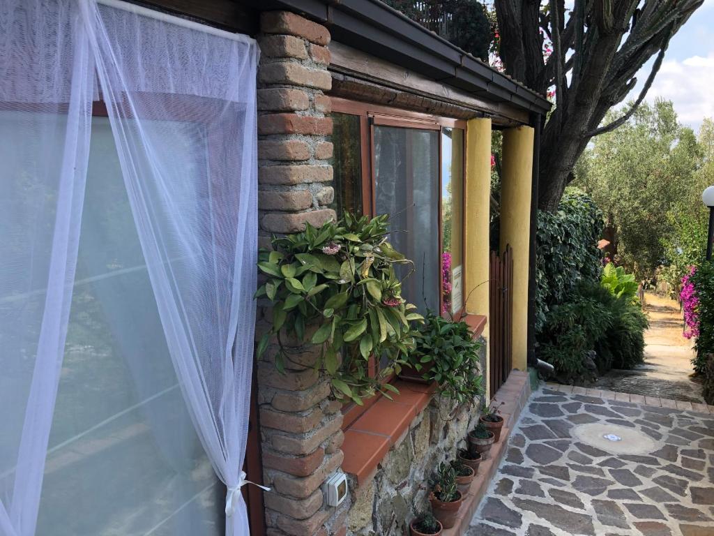 A garden outside Il Vicolo Palinuro