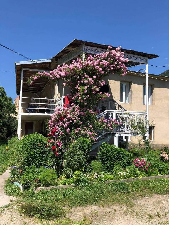 Zahrada ubytování Guesthouse am Museum