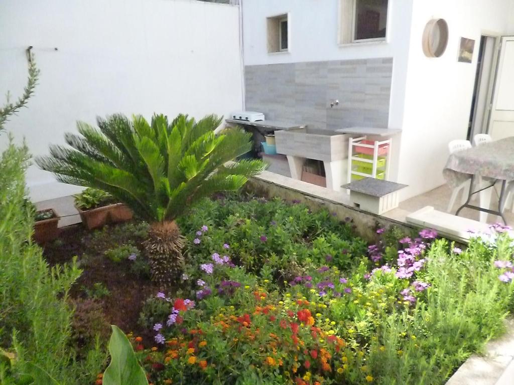 サン・ティジドーロにあるCasa a 30 M dal mareの花の咲く部屋の中庭